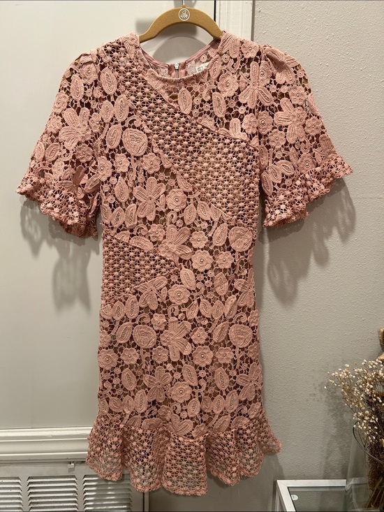 Here Comes The Sun Dresses & Skirts - Blush Pink Floral Lace Mini Dress